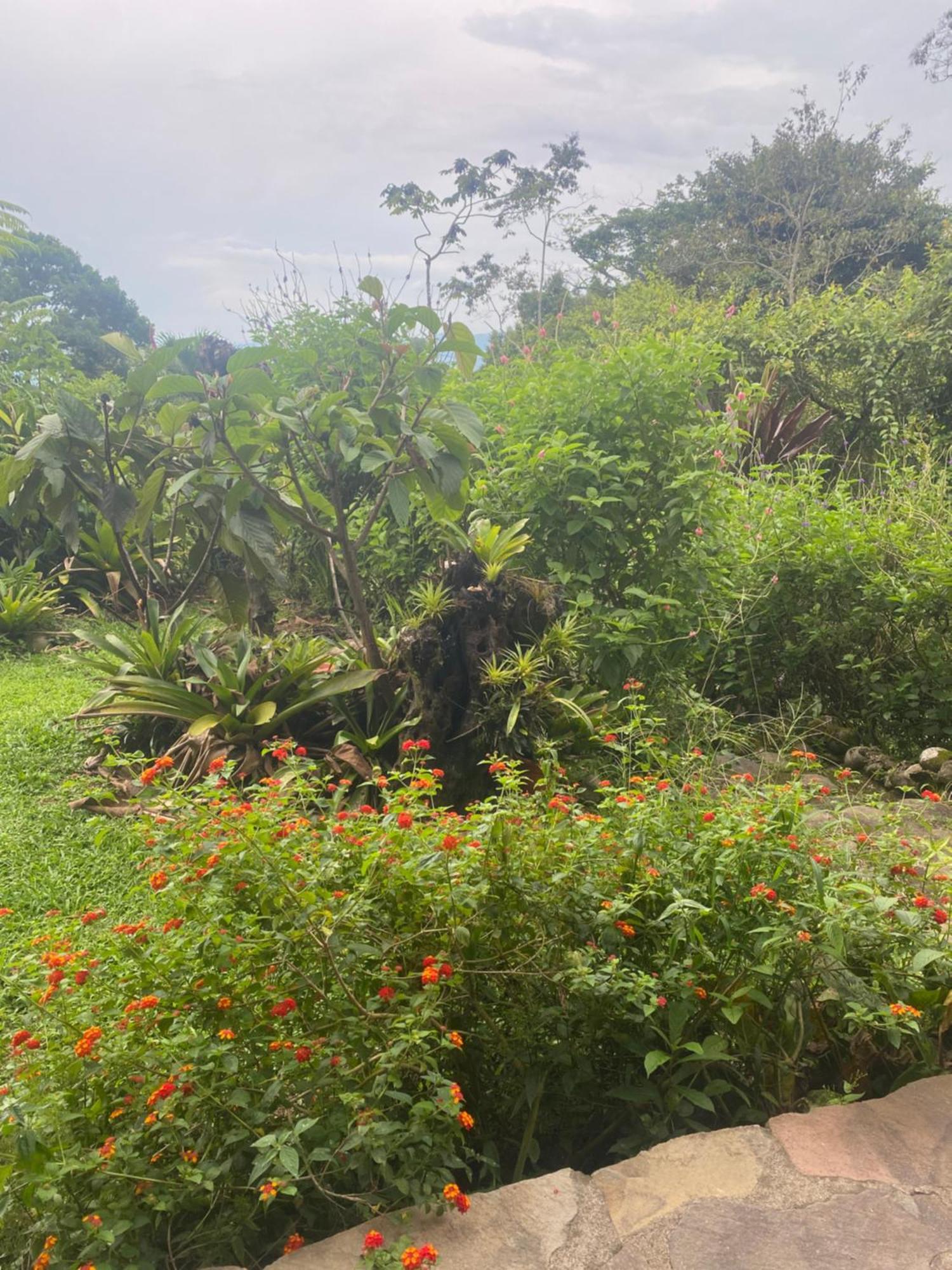 La Tigra  Birds & Breakfast Costa Rica B&B 외부 사진