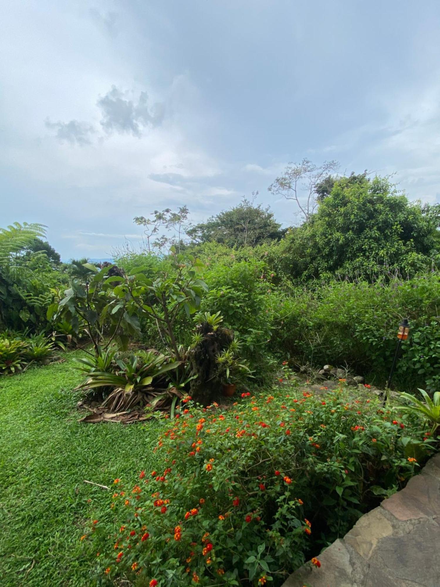 La Tigra  Birds & Breakfast Costa Rica B&B 외부 사진