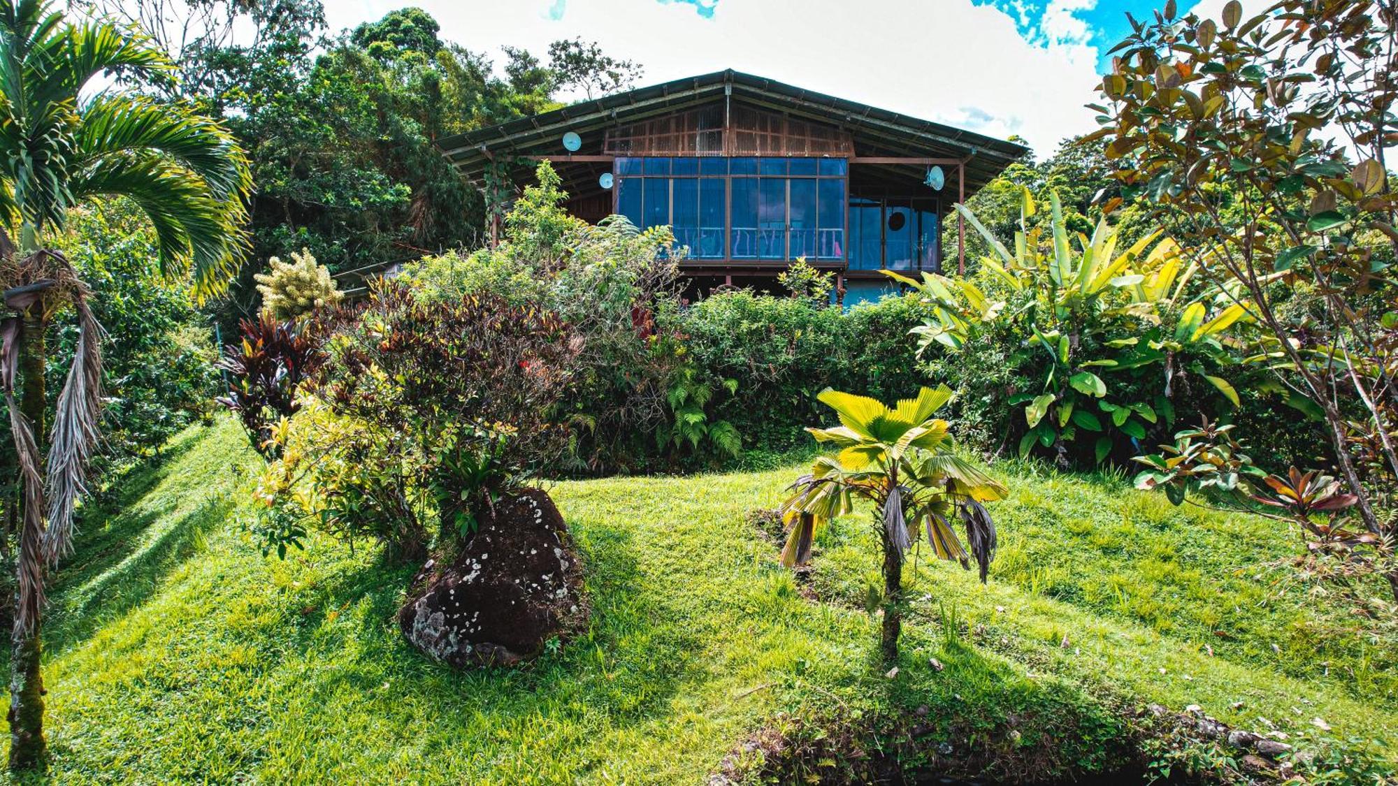 La Tigra  Birds & Breakfast Costa Rica B&B 외부 사진